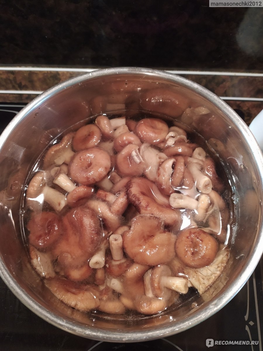 Рыжики с солью