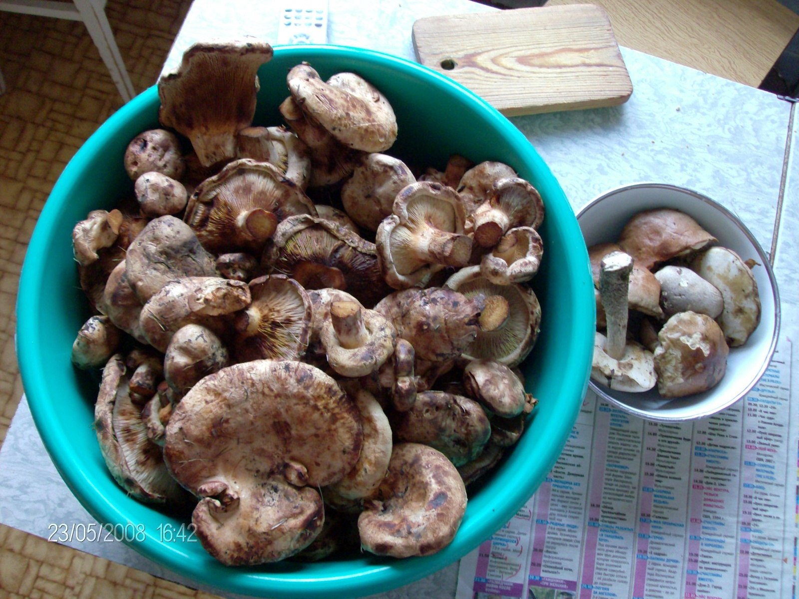 Свинушки грибы маринованные