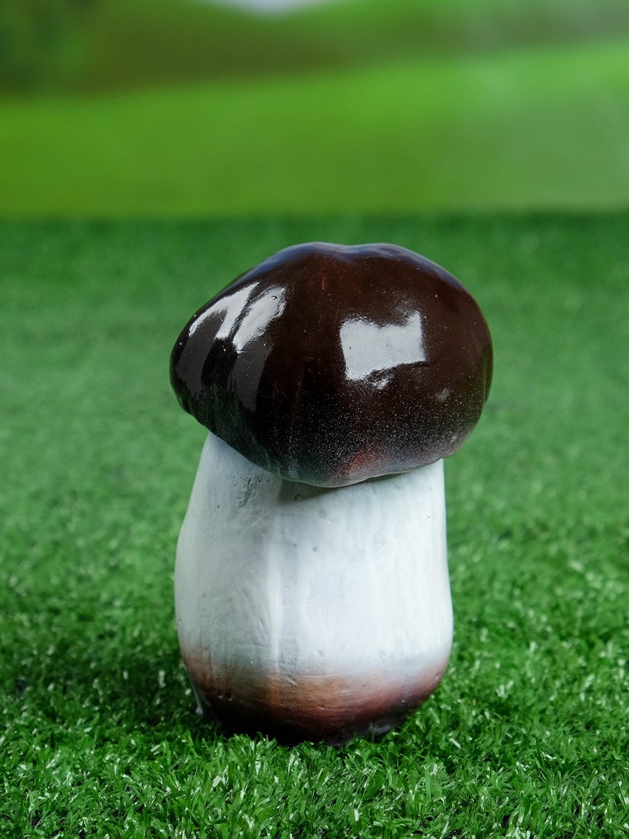 Грибы на участке