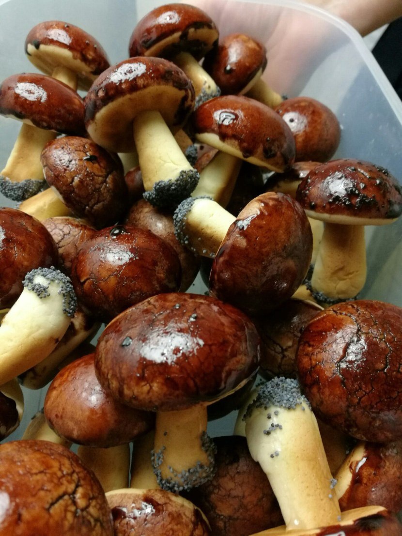 Маслёнок настоящий Suillus luteus