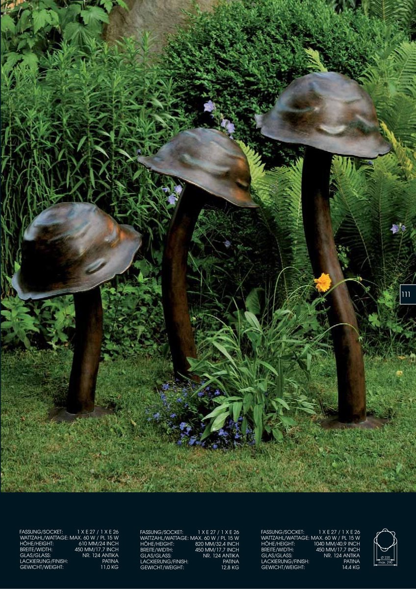 Грибы в оврагах