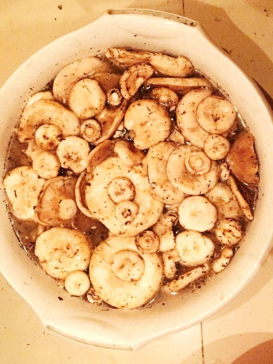 Рыжики как определить что червивый