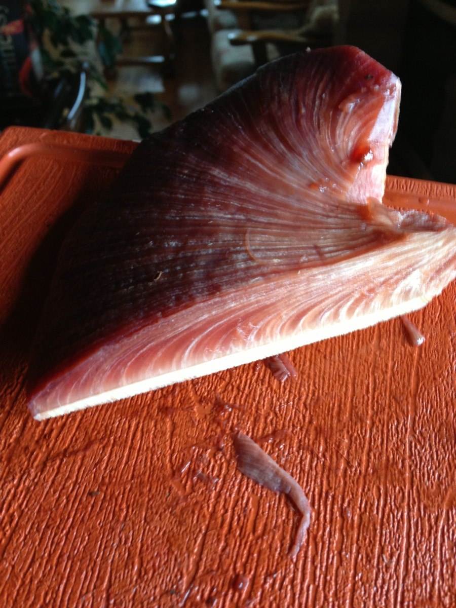 Гриб Тёщин язык печеночник