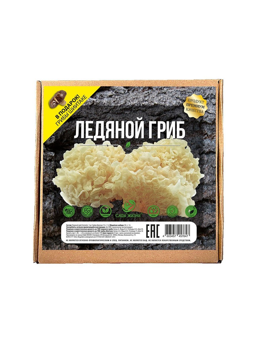 Ледяной гриб (47 фото)