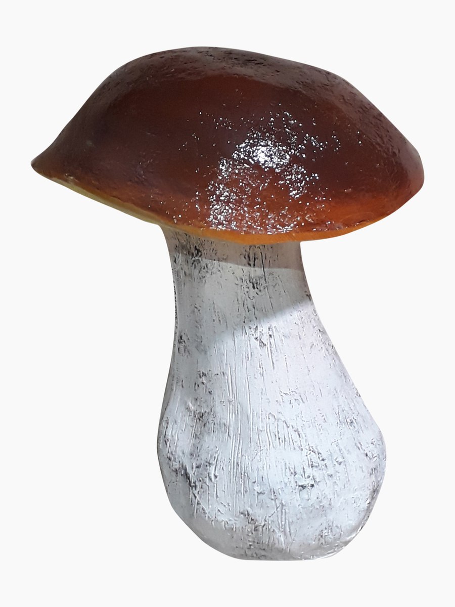 Обабок в разрезе