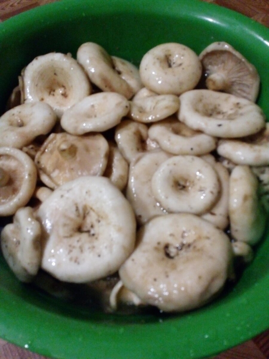 Грузди сырые соленые