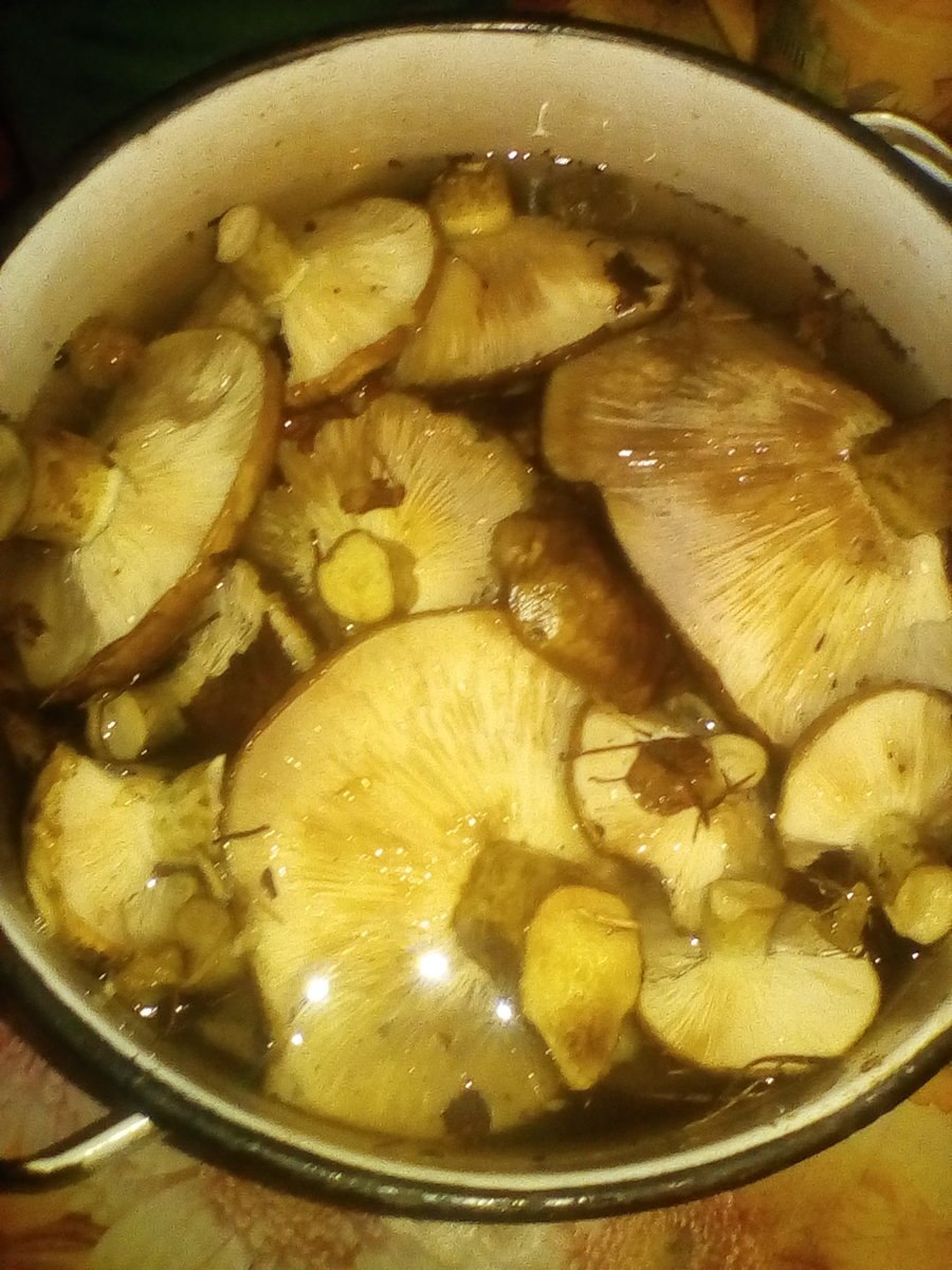 Черные грузди соленые