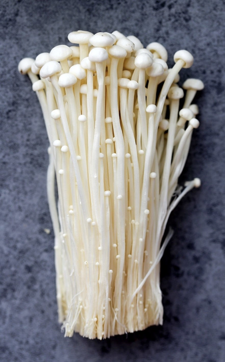 Эноки машрумс