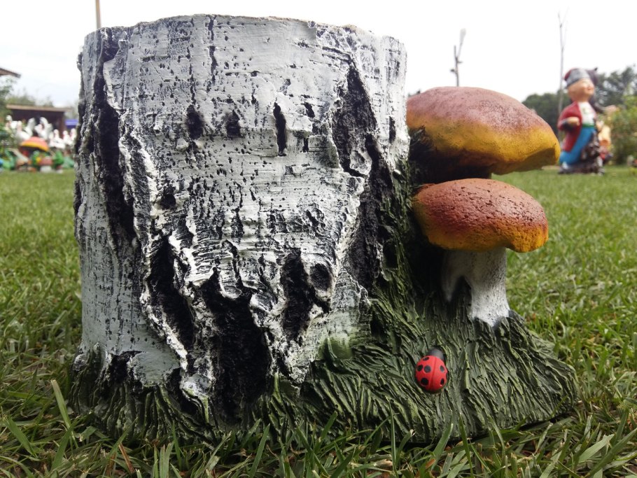 Гриб из пня