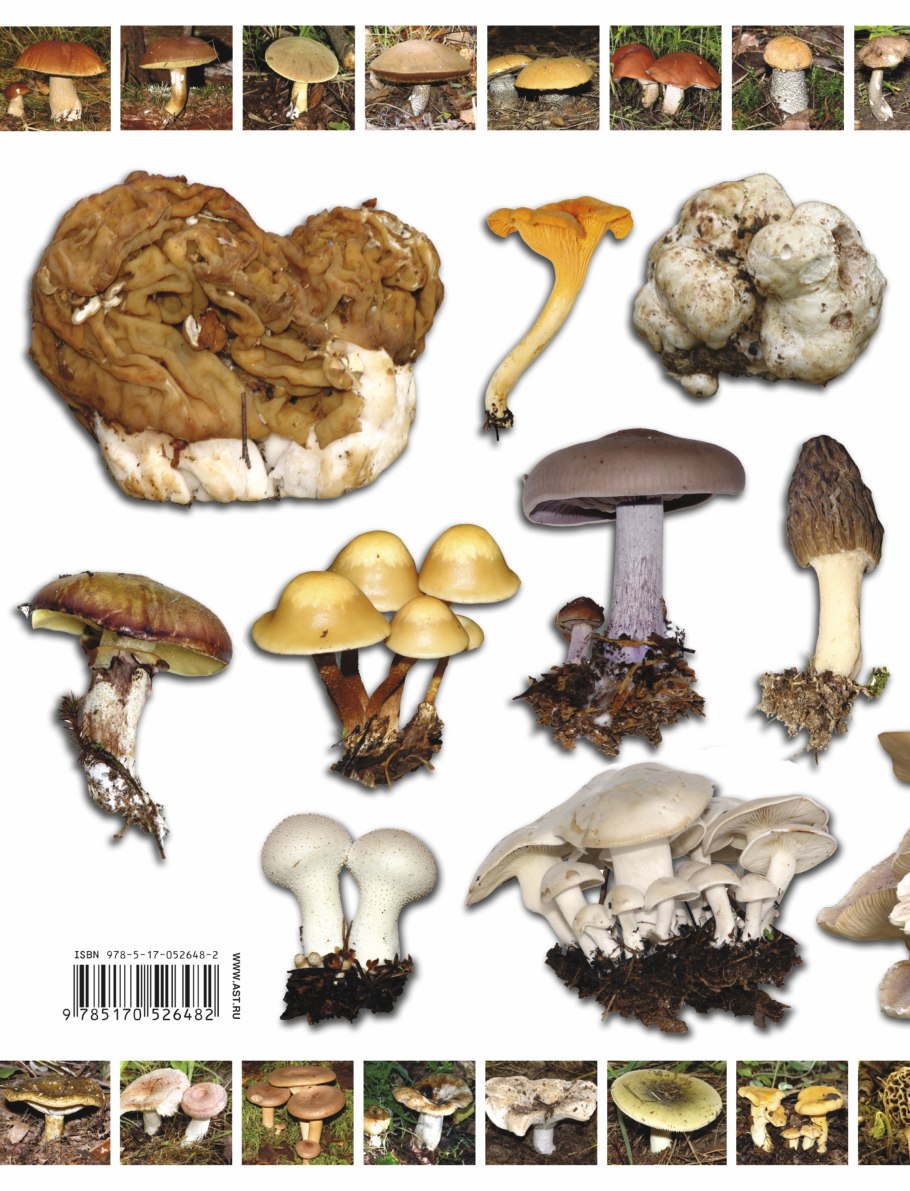 Съедобные и несъедобные грибы России