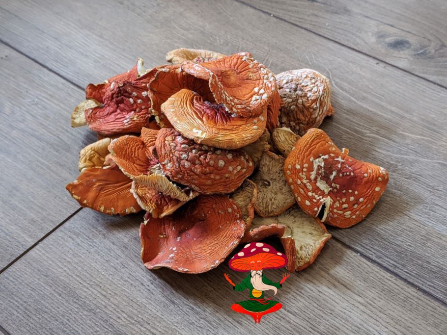 Мухомор сухой