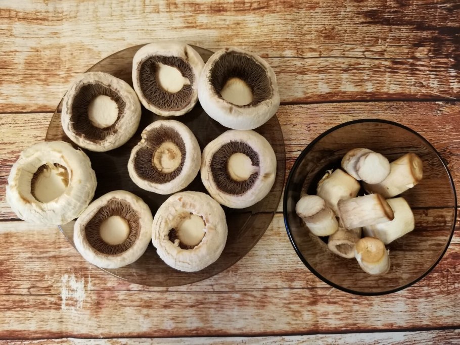 Порховка чернеющая