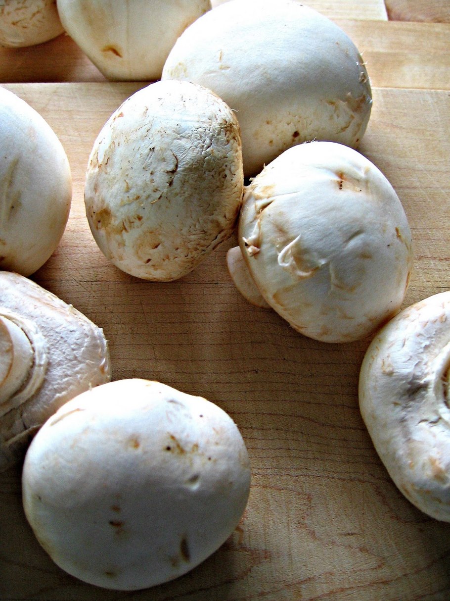 Шампиньон коричневый внутри желтый