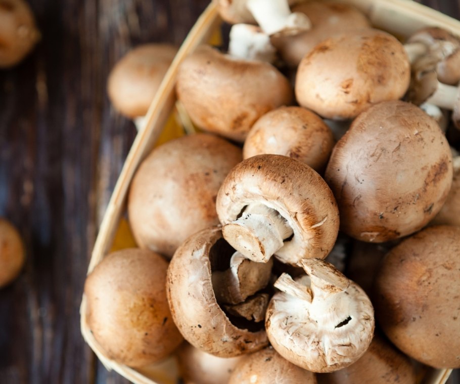 Что можно рассказать о шампиньонах