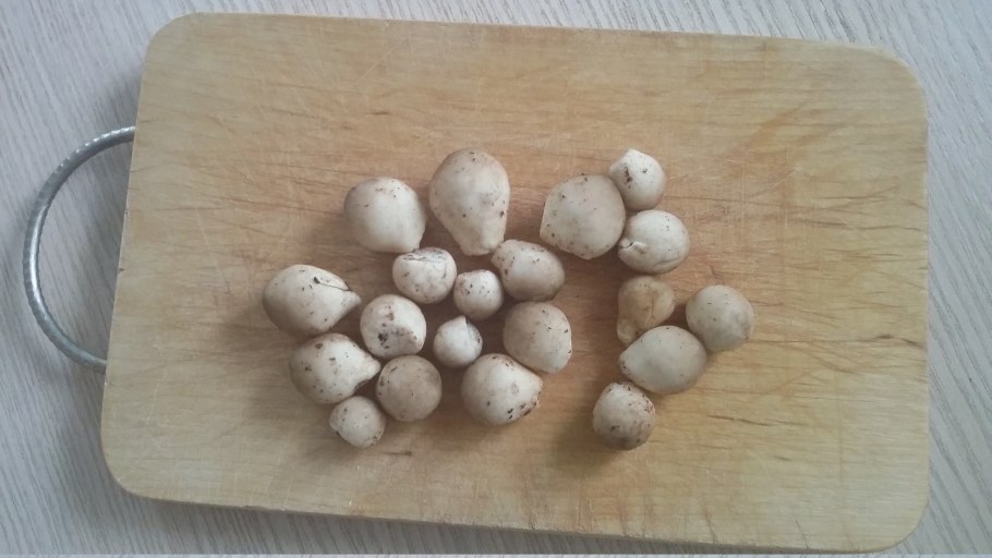 Сыроежковые грибы Приморье