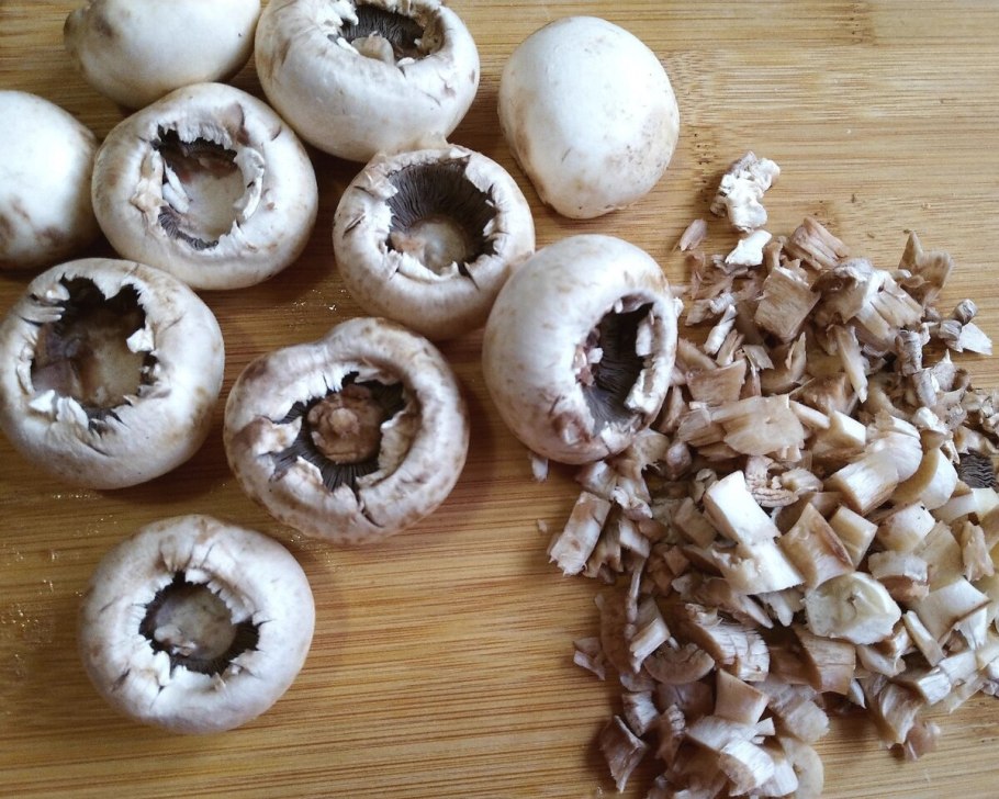 Гриб дождевик ГОЛОВАЧ