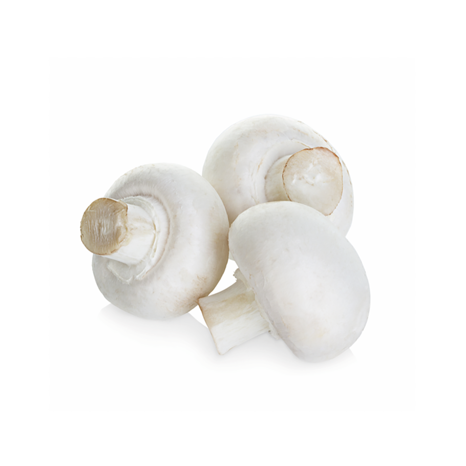 Пластиковый гриб шампиньон игрушка