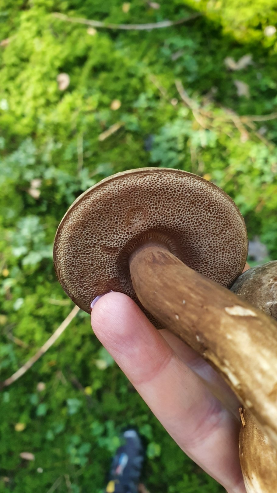 Сергей груздь