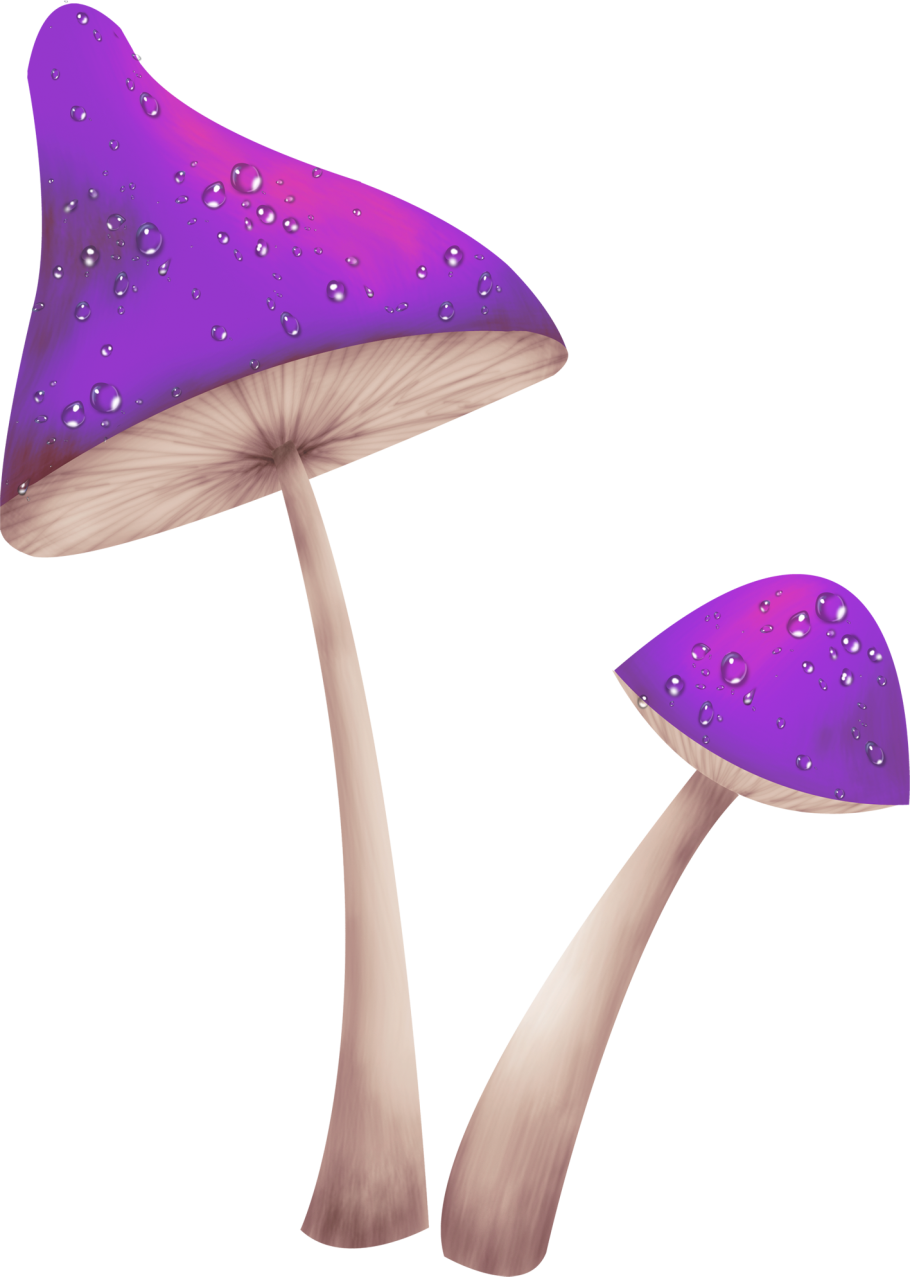 Фиолетовый мухомор