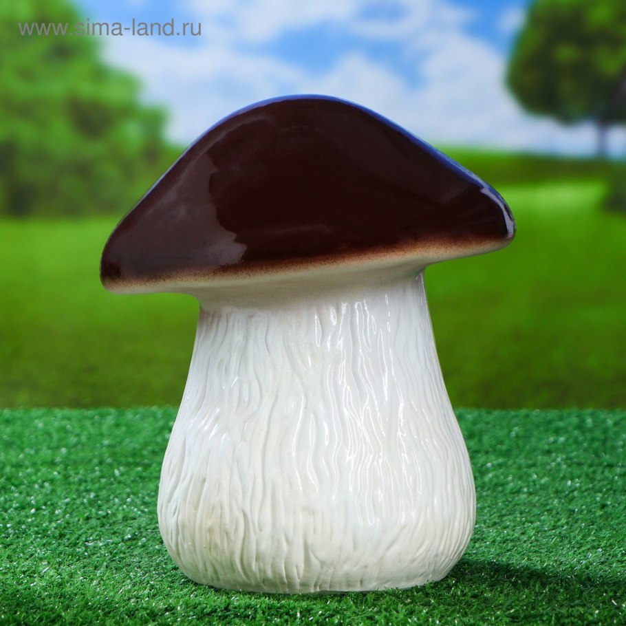 Белый Боровик