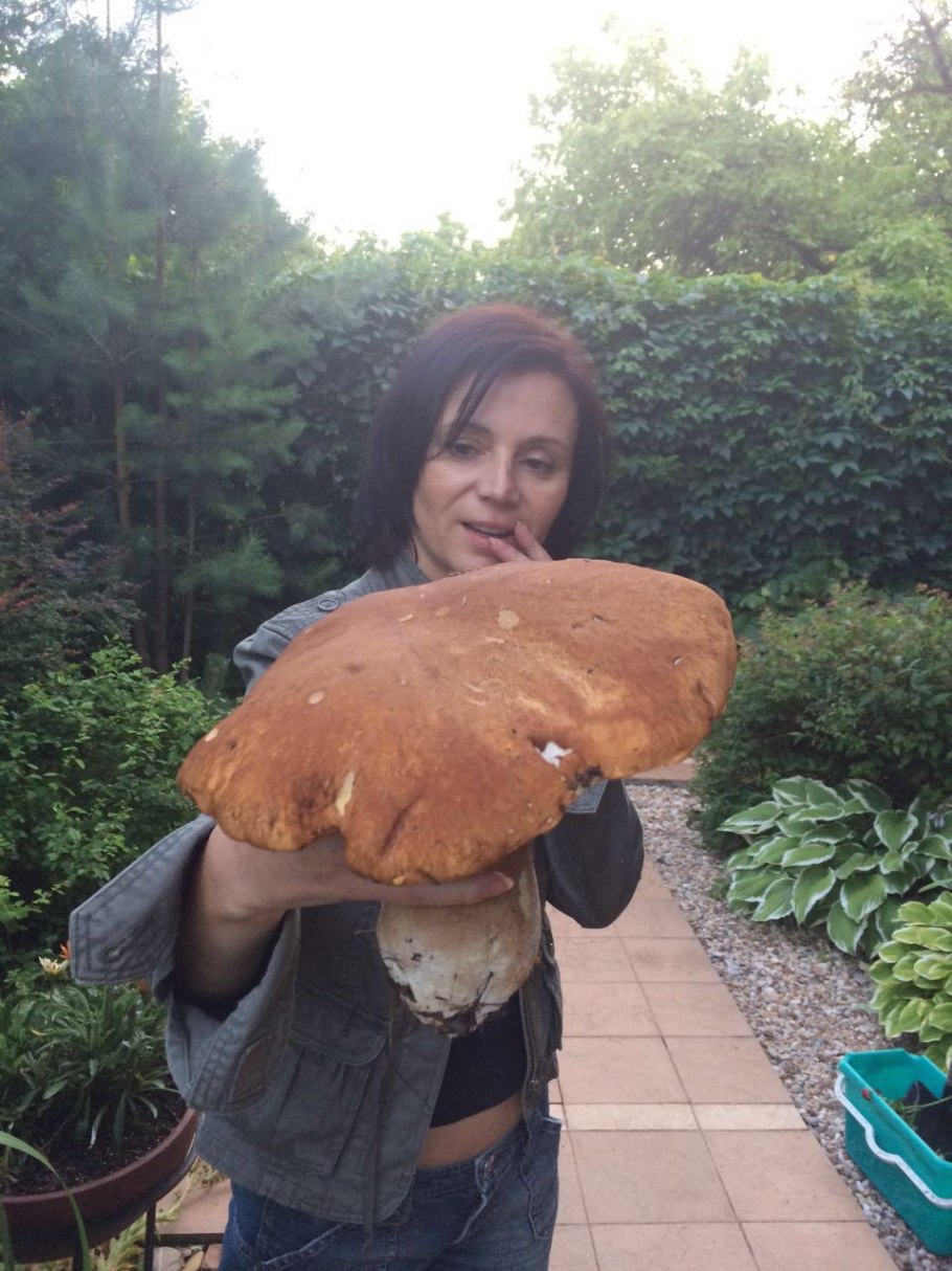 Огромный белый гриб