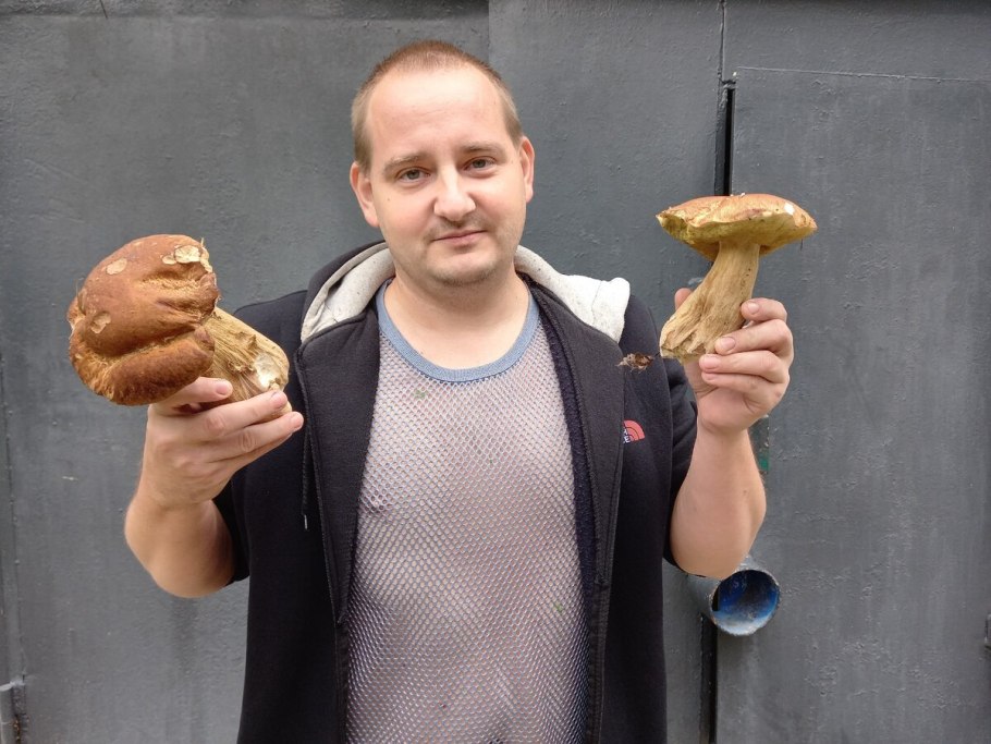 Грибы большого размера