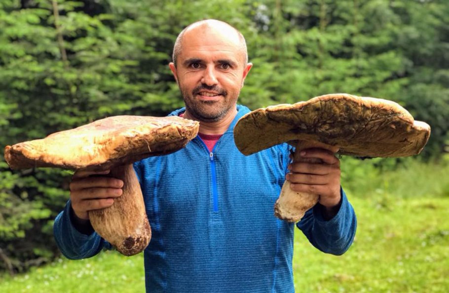 Гигантский белый гриб