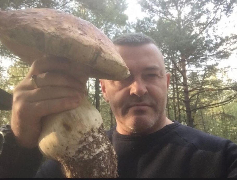 Большой гриб