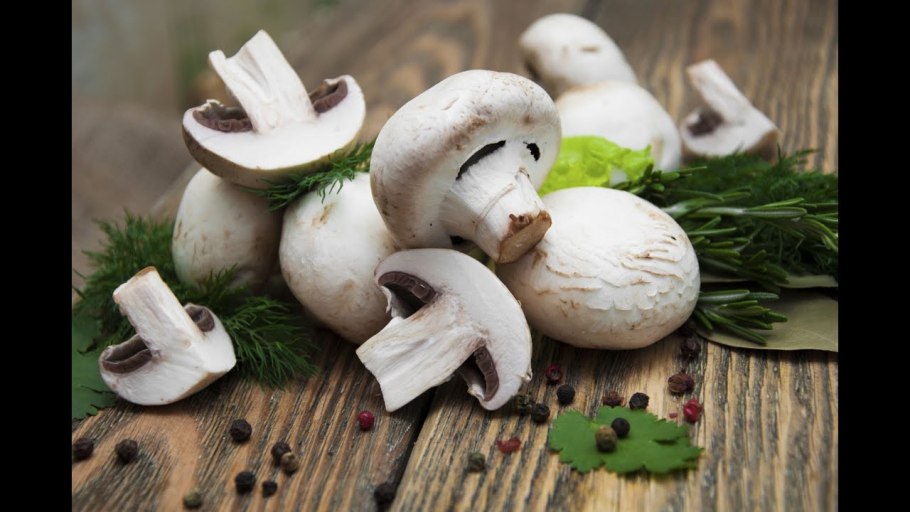 Грибы шампиньоны