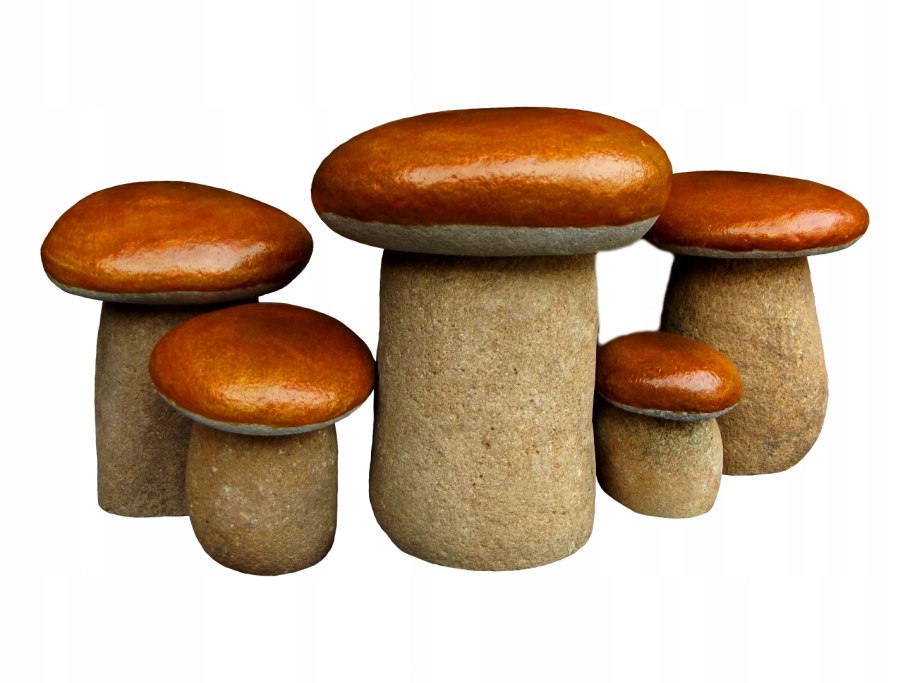 Пять грибов