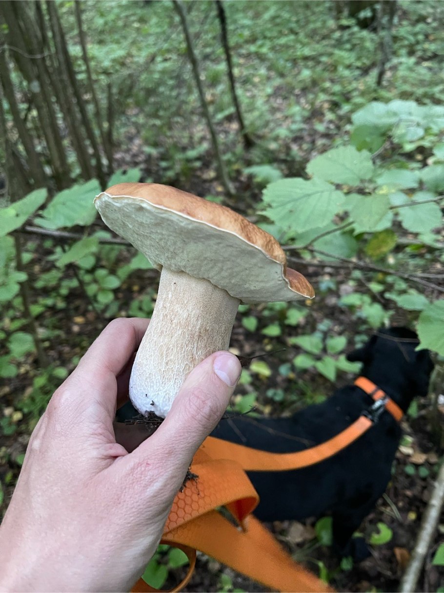 Светло коричневая шляпка