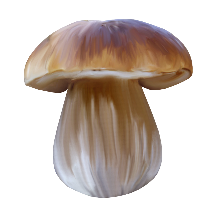 Лисички мухомор поганка