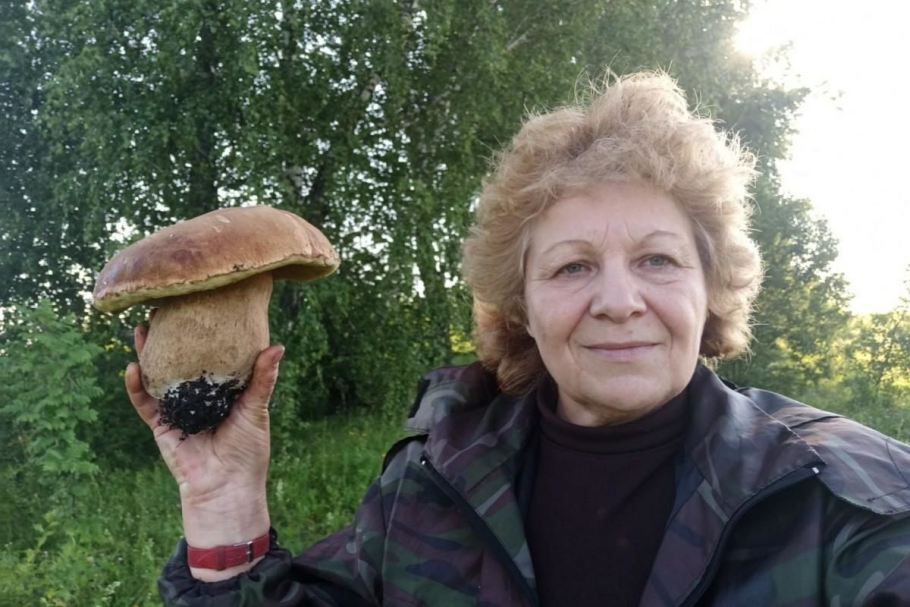 Гриб Боровик Сосновый