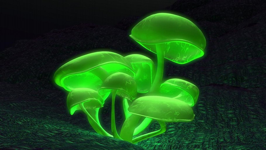 Мицена хлорофос гриб