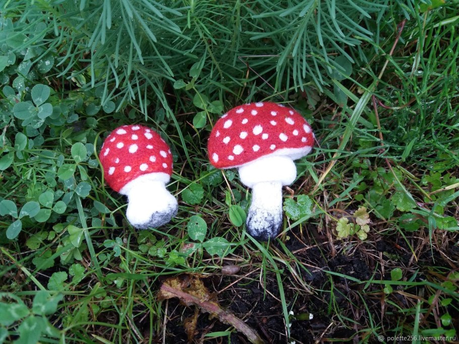 Мухомор и бледная поганка