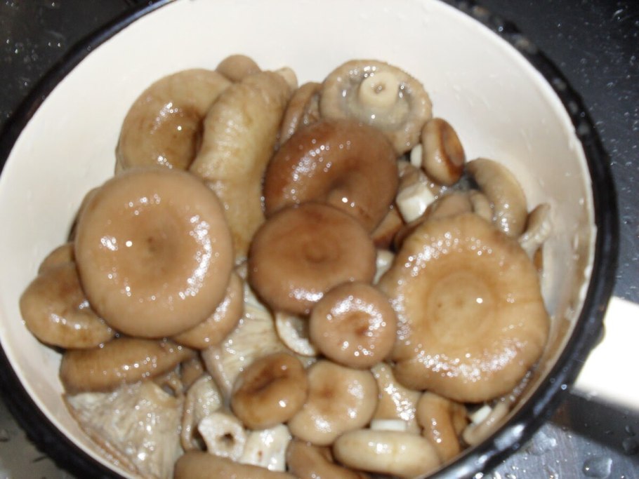 Соление волнушки грибы