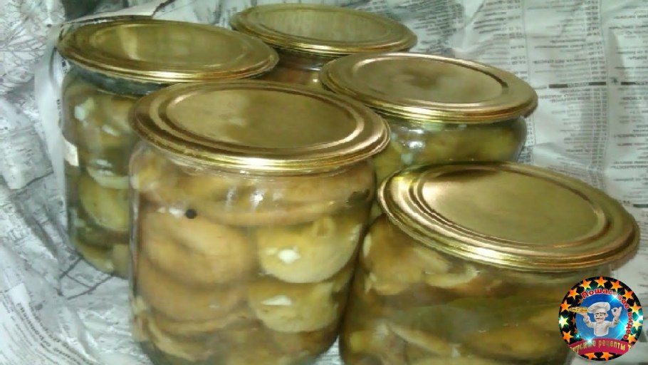 Гриб белый груздь в банках