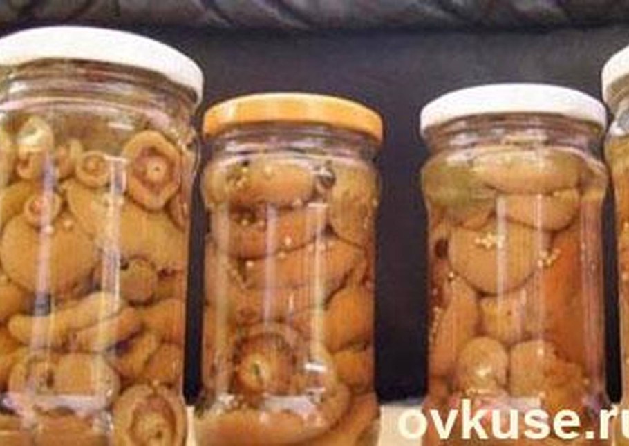 Солёная волнушка в тарелочке