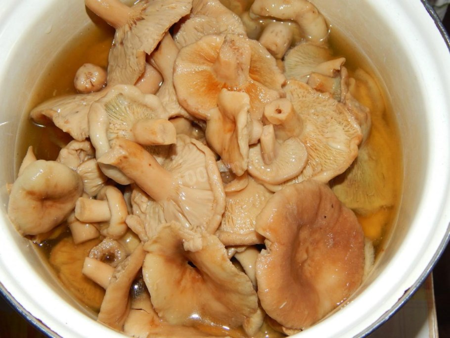 Волнушки грузди соленые