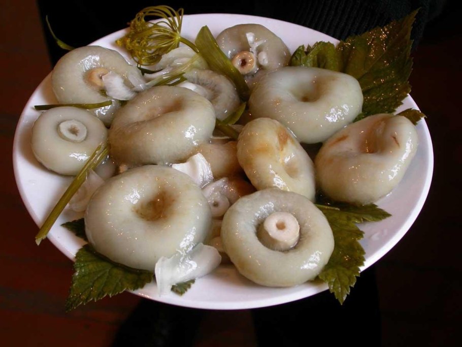 Соленые волнушки