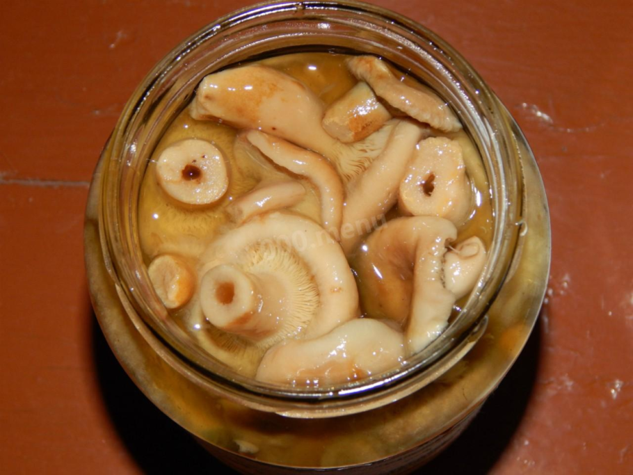 Волнушки грузди соленые