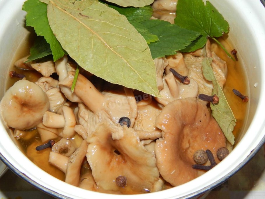 Грибы волнушки на зиму