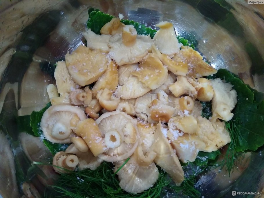 Грузди белые солёные