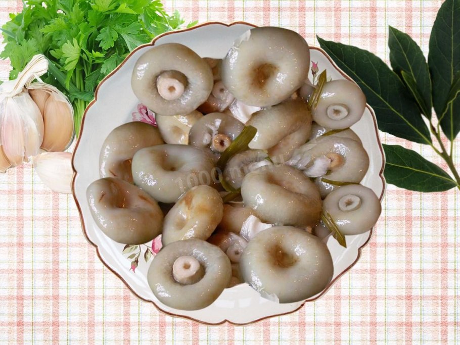 Груздь желтый консервирование