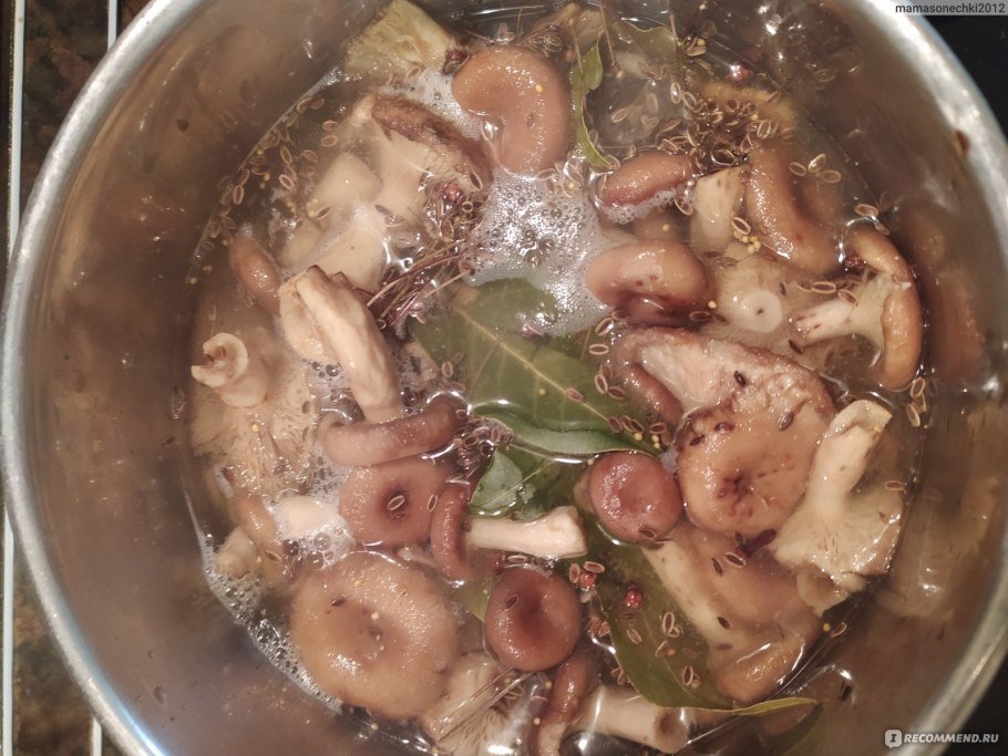 Волнушки со сметаной