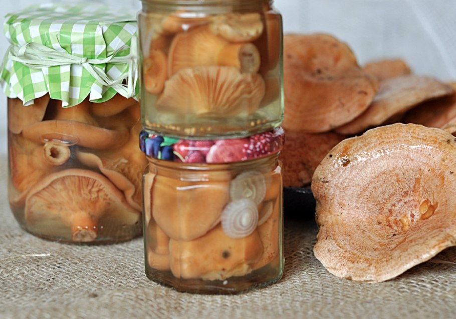 Волнушки грузди соленые