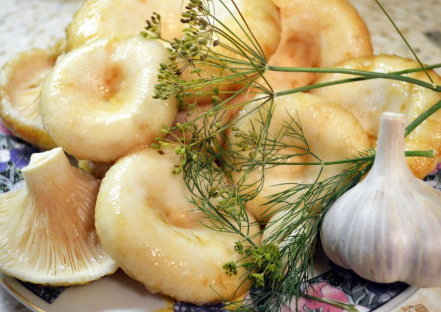 Груздь Белянка соленый