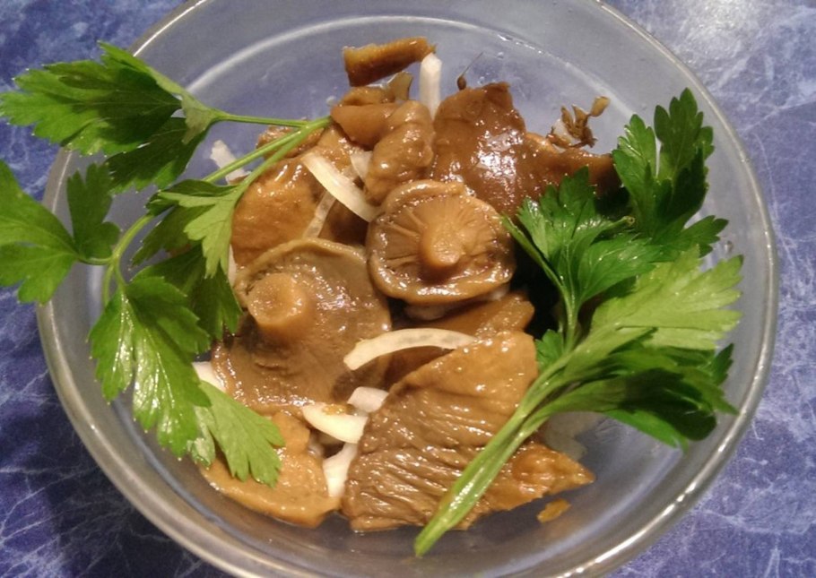 Маринованные грибы волнушки