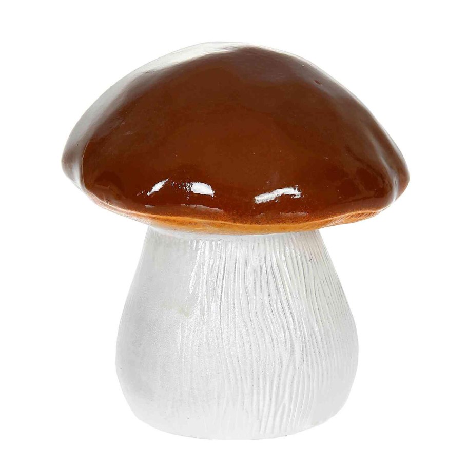 Грибы на прозрачном фоне