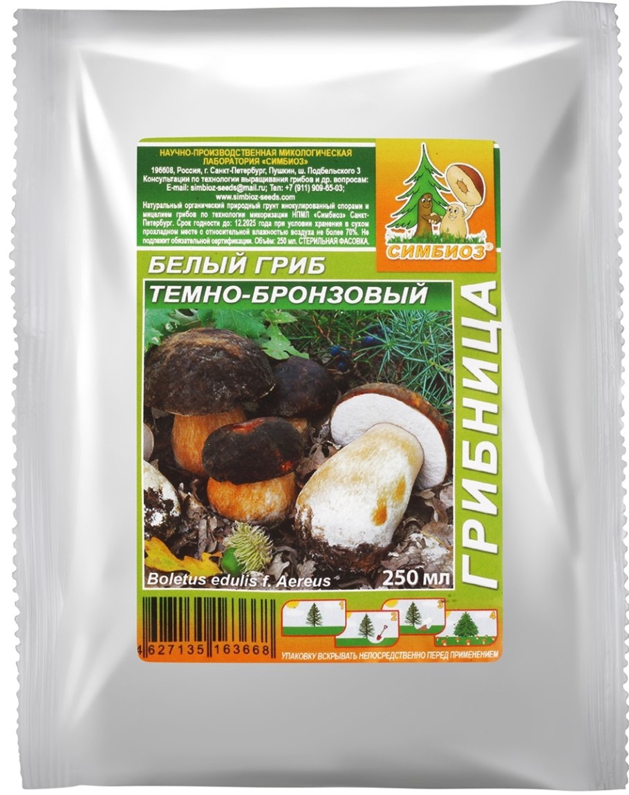 Мицелий грибов белый гриб